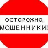 Молодогвардейцы помогли пресечь действия мошенников