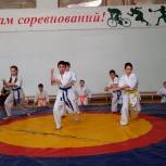 Колыванские партийцы поддержали турнир по самбо