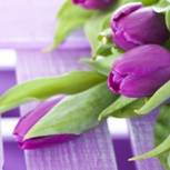 Карасукские партийцы поздравляют женщин