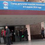 На Съезде депутатов сельских поселений обсуждают вопросы здравоохранения
