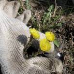 Сделаем наш город чище вместе!