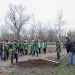 В парке «Южный» заложили новую аллею 