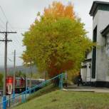 Жители Тындинского района обеспокоены отменой общего вагона в поезде «Гилюй»