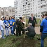 В рамках акции «Зеленая республика» в Благовещенске заложена аллея ветеранов