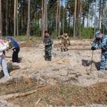 В Гусь-Хрустальном районе День посадки леса отметили ударным трудом