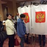 Предварительное голосование прошло в двух сельских поселениях Солнечногорского района