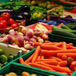 Минторг Удмуртии: запрет на ввоз продуктов из ЕС принесет пользу местным производителям