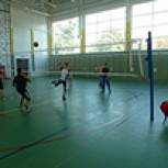 Турнир по волейболу прошел в Белгородском районе