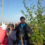 В селе Верхняя Елюзань прошла акция «Родился ребёнок – посади дерево»