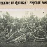 В Усть-Кубинском районе презентовали выставку «Забытые лица Великой войны»