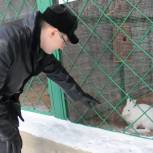 Питомцы Республиканского центра экологического образования получили новый дом