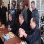 В посёлке Кшенский стартовали соревнования по самому интеллектуальному виду спорта