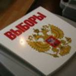 По состоянию на 12.00 на выборах в Курской области проголосовало около  четверти избирателей