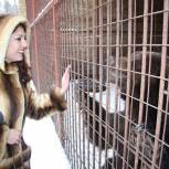 Первоуральские единороссы взяли под опеку медведя из городского зоопарка