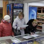 «Народный контроль» провёл рейд в селе Кослан Удорского района
