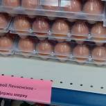 Кузнецк: Народный контроль проверил цены на продукты