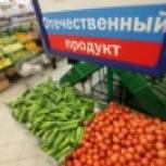 Курская область содействует импортозамещению в сельском хозяйстве