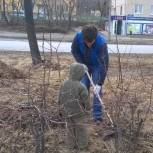 Молодогвардейцы Новоуральска организовали субботник