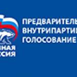 Борисовский район принял участие в предварительном внутрипартийном голосовании