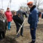 Депутаты Курской областной Думы увековечили 70летие Великой Победы посадкой аллеи
