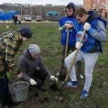 «Аллею Победы» высадили лебедянские партийцы и сторонники Партии