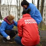 В Карелии представители «Единой России» вышли на субботник