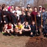 В Кировской области высажены первые Сады Победы