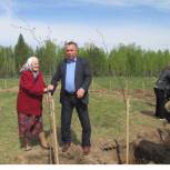 Сосновоборский район: открытие парка 70-летия Победы 