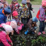 Дети Челябинска и Копейска приняли участие в акции «Сады Победы»