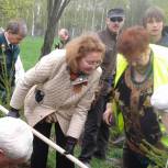 Ирина Соколова приняла участие в акции «Лес Победы»