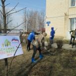 Субботник «Зеленая весна» прошел сегодня в Бабушкино