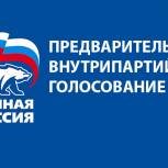 Выбор за богучарскими избирателями
