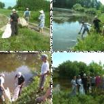 Школьники из Альшеевского района очистили берега местных рек