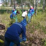 Более 1300 мешков бытовых отходов собрали участники экоакции в Башкортостане