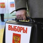 На Камчатке дачников и отпускников приглашают заранее проголосовать за губернатора