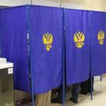Самая высокая явка зафиксирована в Черепановском районе Новосибирской области