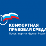 Депутат Госдумы Рафаэль Марданшин: «Партийный проект обсудит проблемы исполнения полицией норм региональных КоАПов»