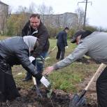 В память воинов у храма зацветут яблони 