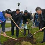 Александр Жарков принял участие в акции «Парк Победы»
