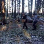 Единороссы и молодогвардейцы Сыктывкара сделали территорию за базой «Динамо» безопаснее