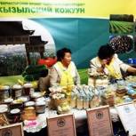 Шолбан Кара-оол: Проект "Одно село - один продукт" - ключевое направление антикризисной стратегии органов власти