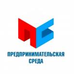 В регионе запустят проект «Предпринимательская среда»