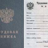 Трудовые книжки планируют отменить