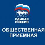 Итоги  партийного проекта "Единая Россия консультирует"