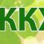 Пожилые амурчане смогут оформить льготы на капитальный ремонт