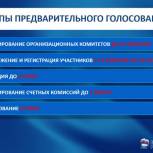 Региональный политсовет сформирует оргкомитет предварительного голосования