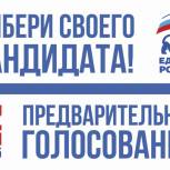 Для участия в предварительном голосовании «Единой России» зарегистрированы 53 кандидата