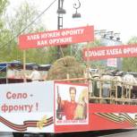 Праздничные мероприятия к 9 Мая объединит тема "Тюмень тыловая"