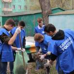 В Железнодорожном районе  состоялся субботник