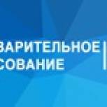 Центризбирком: предварительное голосование «Единая Россия» проводит за счет фондов Партии
